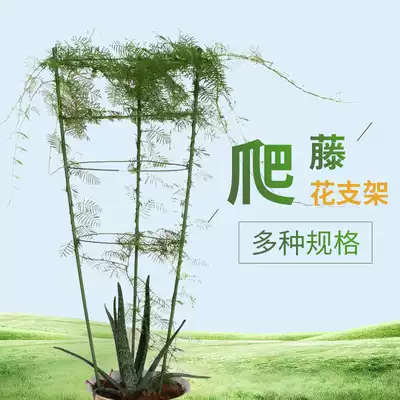 花支柱園藝支架鐵環花支架爬藤攀援藤蔓植物支架番茄花盆支架架子