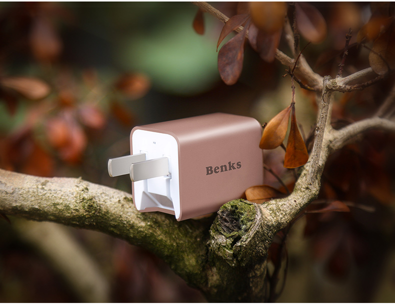 chargeur BENKS - Ref 1293553 Image 22