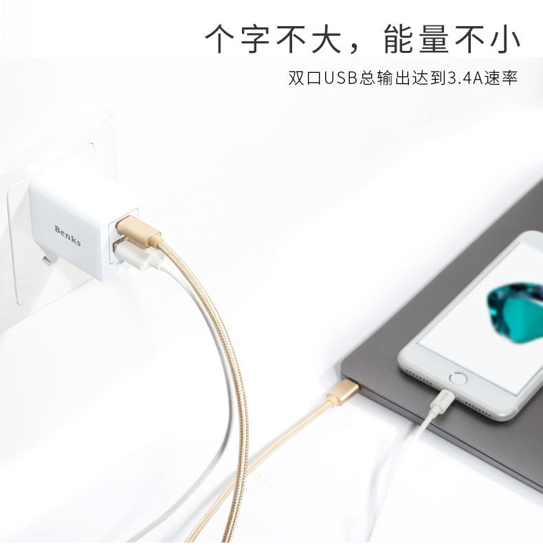 chargeur BENKS - Ref 1292977 Image 8