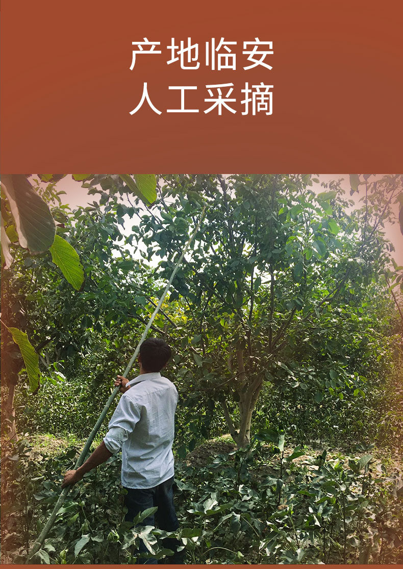 零食工坊 特制野山核桃仁 500g 图1