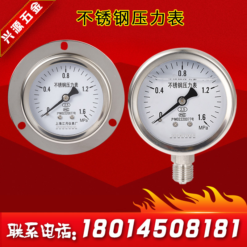 Y40 Y60 YN100 YN100 Seismic Pressure Watch Range Band 2 5 4 0 6MPa