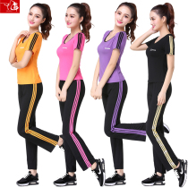 Summer Fall Short Sleeve Square Dance Costumes New Sports Suit Women Adults Practice Gym Dancing Dresses Big Codes