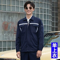 Тибетский синий гритон сражается с Witter del