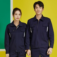 Тибетская синяя серая тонкая модель