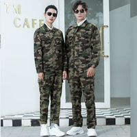 Камуфляж 01 серия (вверху+брюки)