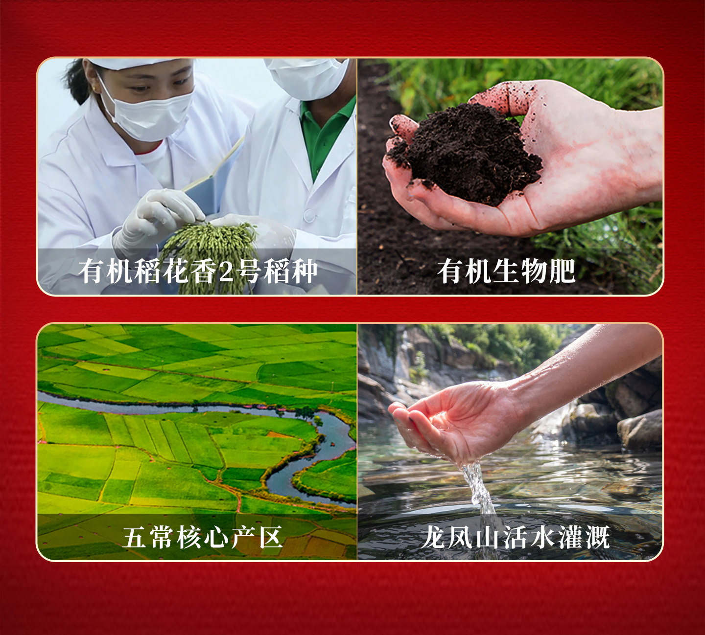 安享好物 安享S级粳米-五粱红有机稻花香 国标