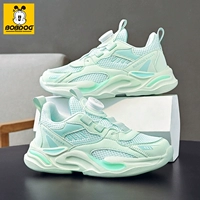 Фруктовая зеленая сетка