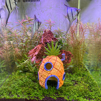 Sink Water Sponge Baby Fish Tank Building Decoration Fake tree swing pieces Cired snapper Hide Jar Octopus Octopus Octopus Octopus House