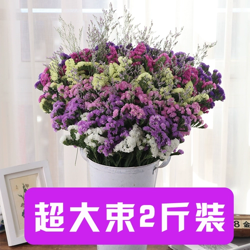 Yunnan Natural Air -Dried Theory Theory, продавая мезон, не забывайте о себе -дискиплина, мебель для дома цветов, маленькие свежие украшения