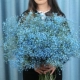 Флуоресцентный зеленый