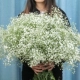 Флуоресцентный желтый