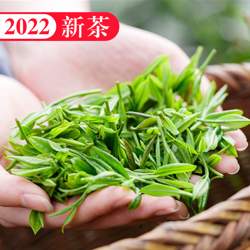 Tea 2022 new tea special grade green tea early spring bud Sichuan Ming Former Mao Feng One catty of bulk Montop Mountain Tea 500g