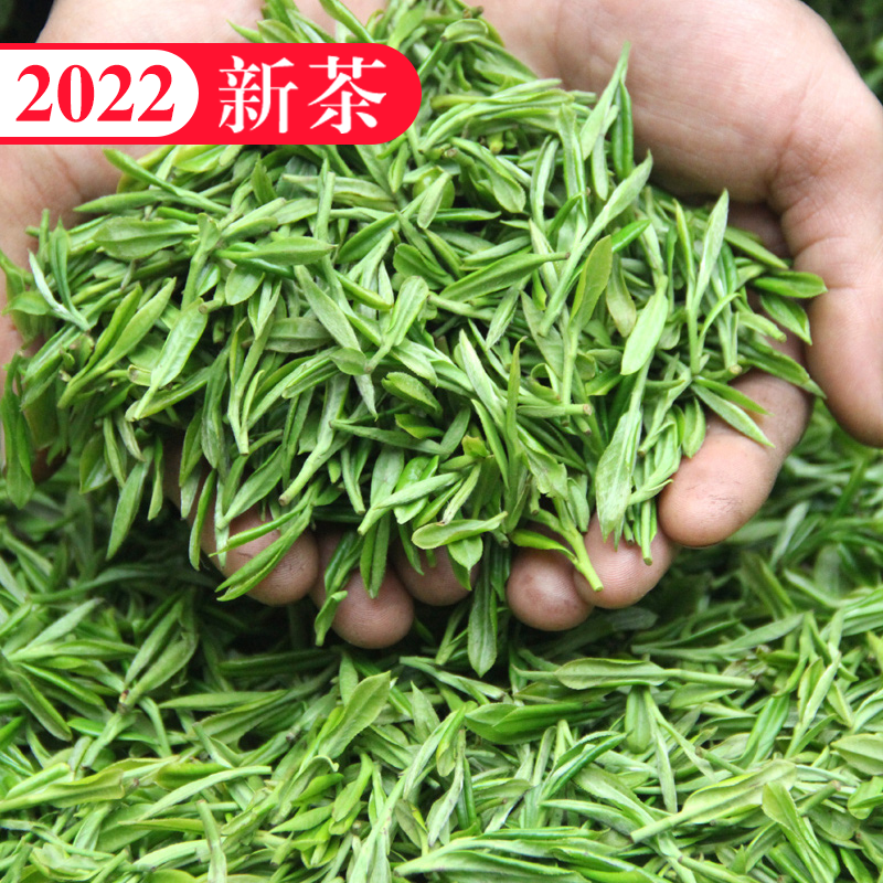 Green tea 2022 new tea tea special grade spring Xiaolong sharp and fragrant type Sichuan Montop Mountain tea cloud Wufeng peak bulk 500g