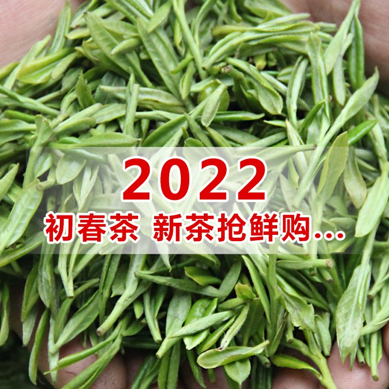 Mon Top Manna 2022 New Tea Early Spring Head Mining Shoots level Ming top Montop Mountain Tea fried green tea 100g