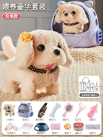 Выберите роскошный полный комплект? Золотой ретривер Dog [Pet Bag+Feeding Pot+Damning Set] Зарядное издание