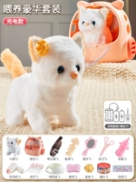 Выбранный роскошный набор? Котенок [пакет для домашних животных+корм для корма+набор для зарядки] зарядная версия