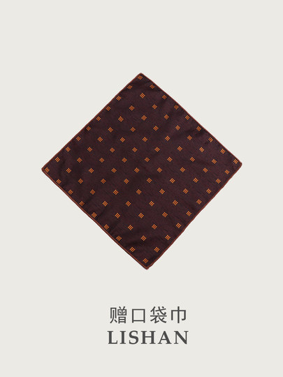 Italian-Style No-Tie Tie for Men, Chocolate Brown, High-End Formal Wear, Hand-Tied Suit, Business Zipper, Wedding, Lazy Style