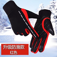 Северный свет (не -ленивый красный)