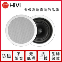 Hivi iwei VX5-C VX6-C ceiling horn ceiling coaxial stereo embedded speaker vx8