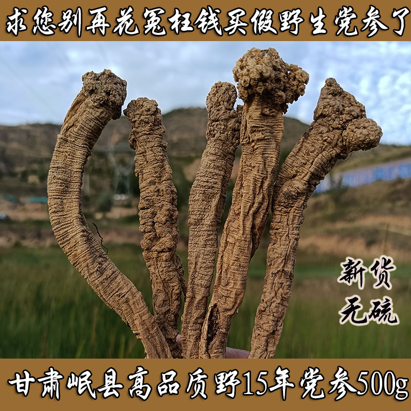 Gansu Premium Wild Dang Shen Pure natural Minxian Dang Wild Dang Shen Lion's Head Dang Shen Shang Dang Shen 500g