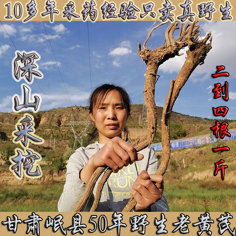 Min County Special Pure Wild Astragalus Root Bubble Tea Authentic Wild Nagaga is a party ginseng powder