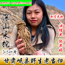 Gansu Minxian Angélique sauvage de qualité spéciale Kequan Chou Angélique trempée dans de leau avec du thé Codonopsis Astragalus Wubao sans soufre