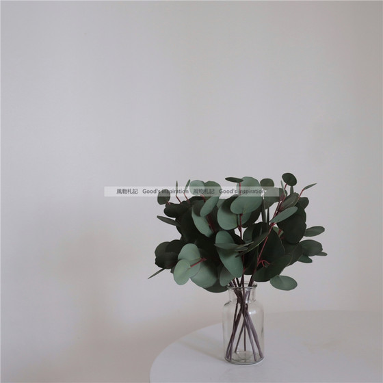 Scenery Simulation Eucalyptus Round Leaf Nordic Simple Flower Fresh Green Plant Home Decoration Flower Arrangement Ornament Vase