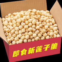 New goods original fragrant lotus seeds crispy canned 500g ready-to-eat cooked salty office leisure snack Net red pregnant women snacks