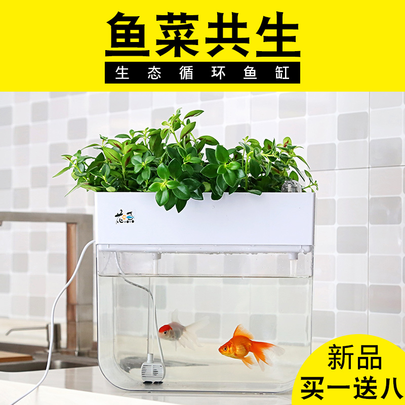 Flower Mu fish ecological fish tank Aquarium Garden Sprouts and vegetables Fish and vegetable symbiosis fish species Flower and vegetable desktop fish tank