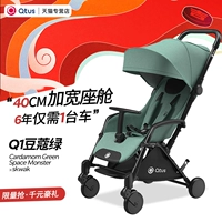 Q1-Tody Cardamom Green