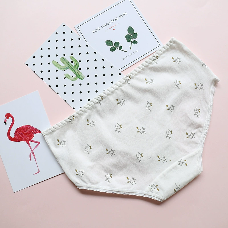 Quần lót nữ liền thân cotton 裆 100% cotton mid-eo kháng khuẩn nữ tóm tắt cô gái gợi cảm cỡ lớn