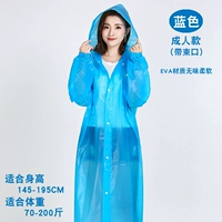 Взрослый синий (луч)