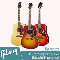 Gipson Gibson Hummingbird Dove Original hummingbird pigeon electric box folk guitar