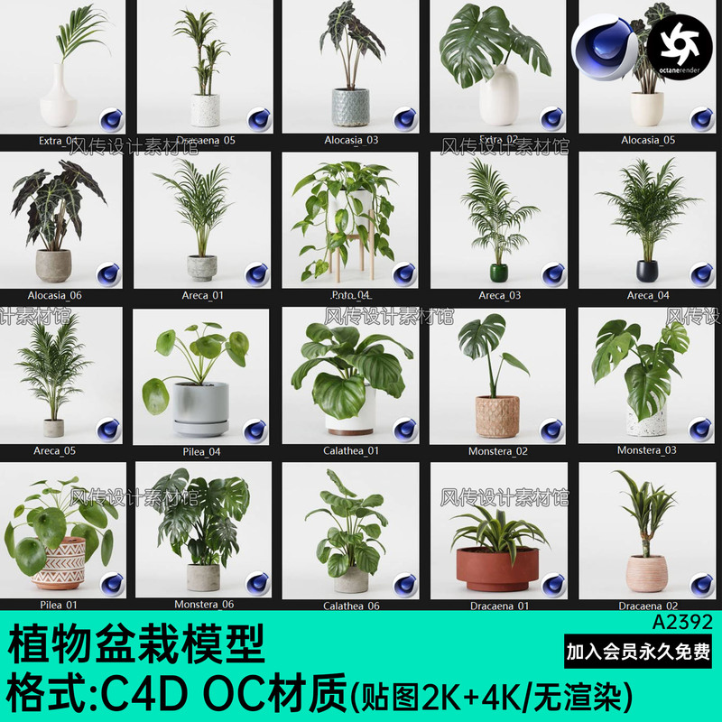 C4D Plant Potted Green Plant Bonsai Tree Model Flower Pot Monstera Philodendron Lucky Bamboo Pothos Large Leaf Green Leaf Oc Material