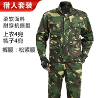 Комплект, эластичная талия