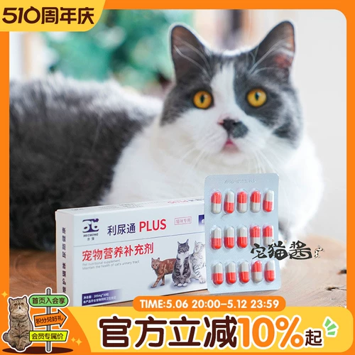 Дом кошачий соус Полный диуретический кошачий инфекция кошачка