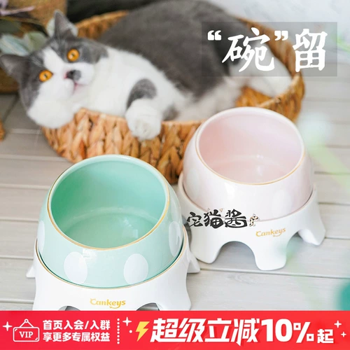 Дом кошачий соус, следите