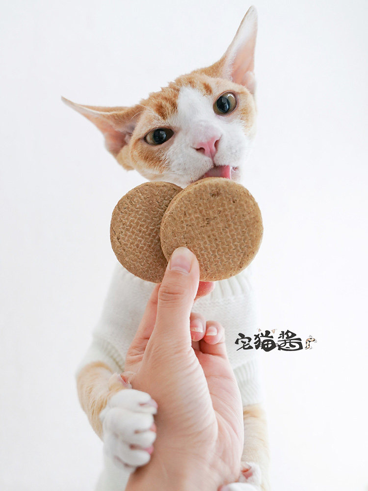 freeze dried raw meat