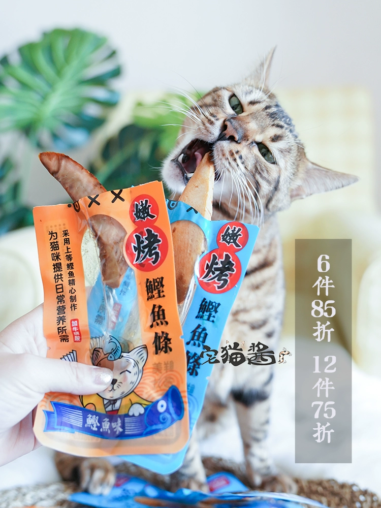 House Cat Sauce Bên bờ biển đấu thầu Cá nướng Cá biển giòn Dali Cat Juicy Bonito Gậy Cat Snacks - Đồ ăn nhẹ cho mèo