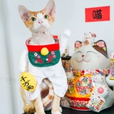 Домашний соус кошачий соус Пети -Плейс олимпийский кот милый и смешная трансформация косплей Трехмерная одежда Фотография одежда