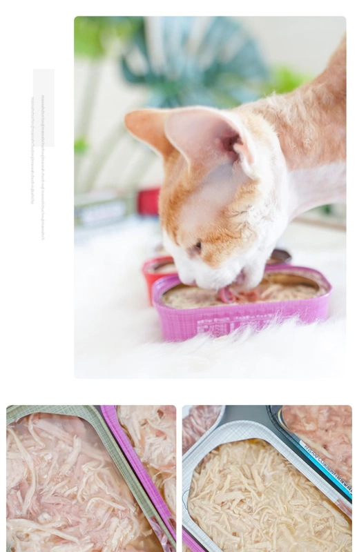 Nước sốt mèo nhà Đài Loan trân trọng mọi vị khách nghĩ về dinh dưỡng thức ăn cho mèo chủ yếu là thịt gà đóng hộp hương vị thịt mèo - Đồ ăn nhẹ cho mèo