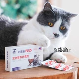 Дом кошачий соус Полный диуретический кошачий инфекция кошачка