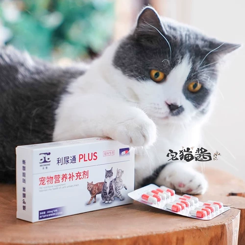 Дом кошачий соус Полный диуретический кошачий инфекция кошачка