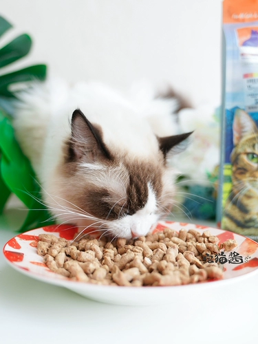 Дом кошачий соус Новая Зеландия K9 замороженные и бездувные замороженные лососевые лосось кошка кошка 320g