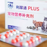 Дом кошачий соус Полный диуретический кошачий инфекция кошачка