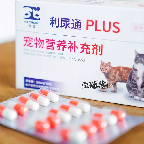Дом кошачий соус Полный диуретический кошачий инфекция кошачка