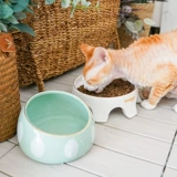 Дом кошачий соус, следите