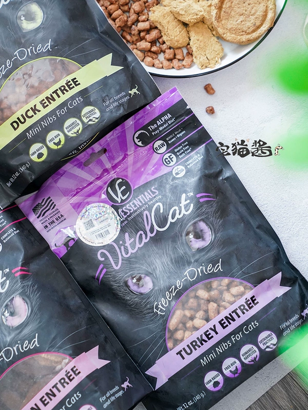 House Cat Sauce VE Freeze Cat Food Thực phẩm quan trọng ESSENTIALS Gà Vịt mất nước Thịt tươi Không có ngũ cốc Thức ăn cho mèo - Cat Staples