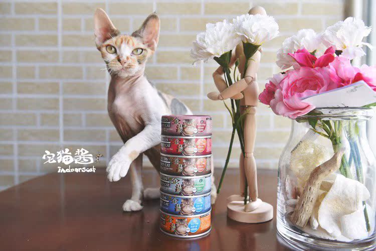 Nước sốt mèo nhà, cháo chức năng sức khỏe, súp vàng nhỏ mèo đóng hộp mèo ướt thức ăn cho mèo ăn nhẹ 80g × 6 lon - Đồ ăn nhẹ cho mèo làm đồ ăn cho mèo