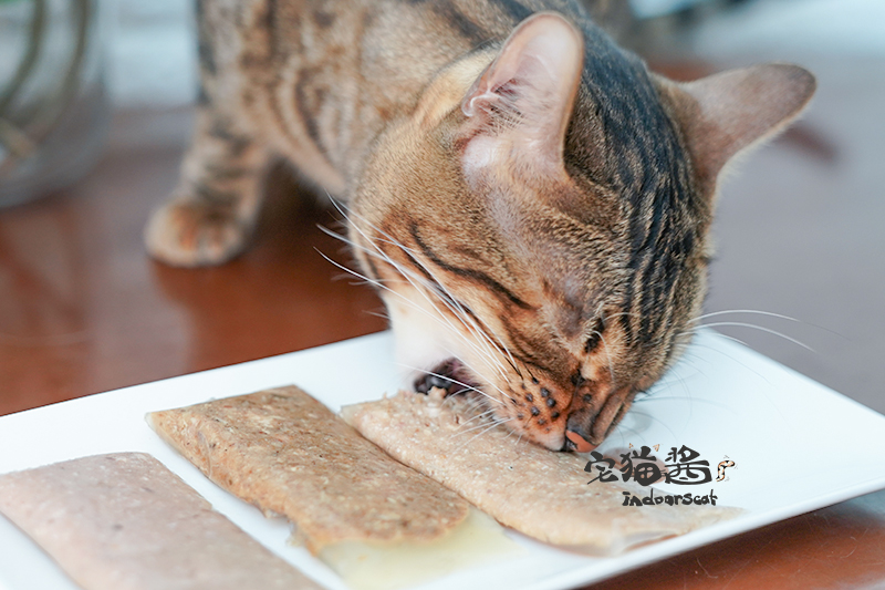 House Cat Sauce Ina Baojins Tasty Food Food Cat Snacks Pet Green Tea Formula Dinh dưỡng vào Cat Soft Pack Snacks thức ăn cho mèo minino